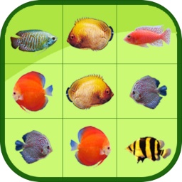 华体平台app